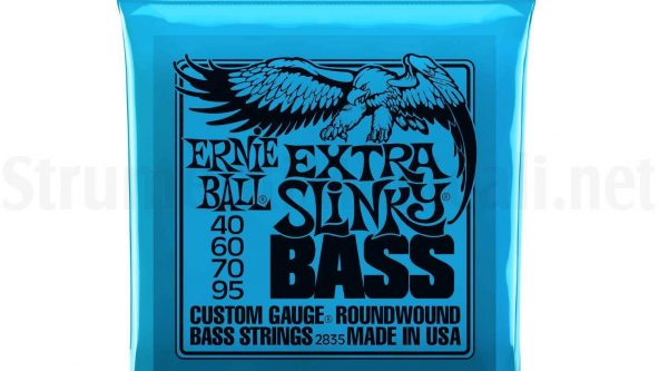 ernieball-2835-1