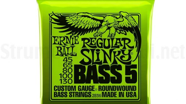 ernieball-2836-1